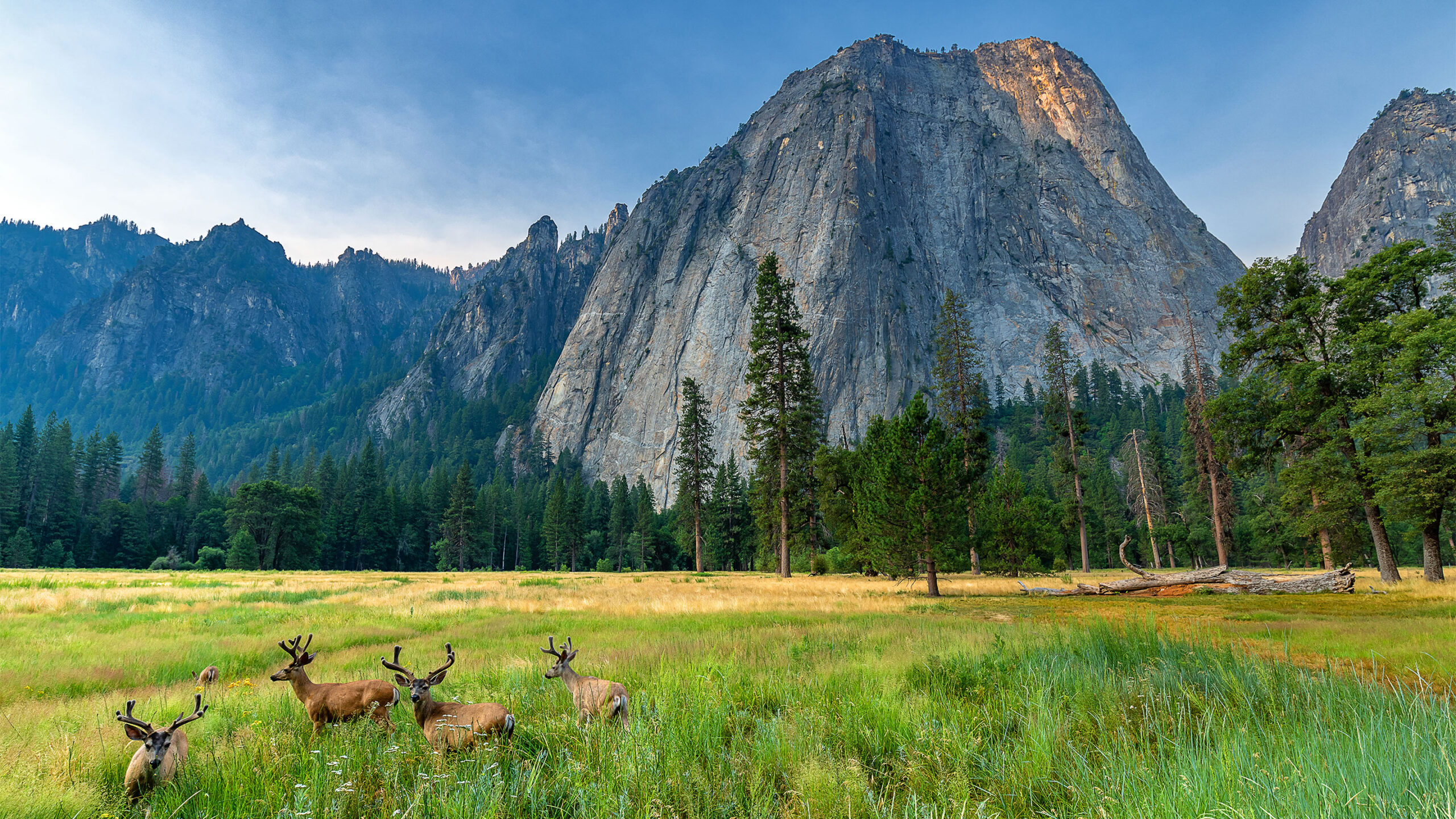 Digital Visits to Nationwide Parks